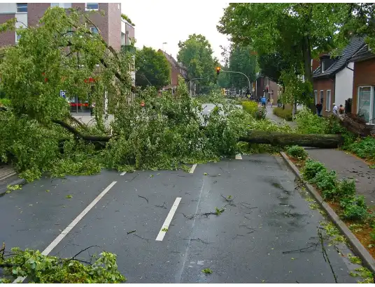 Pułtuska Kronika Strażacka 06 -12.07.2020 r.