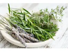 Skuteczne zioła przy dolegliwościach ze strony wątroby