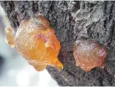 Usuwamy żywicę z ubrań