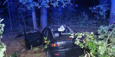 Zderzenie z łosiem na drodze pod Pułtuskiem