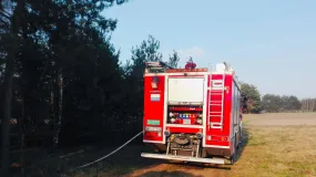 Za ten czyn grozi kara do 30 000 zł! Strzeż się go!