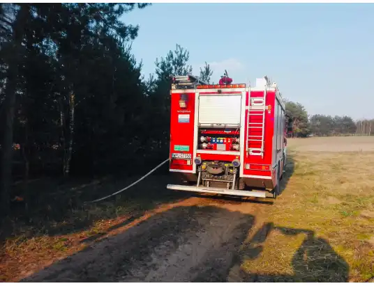 Za ten czyn grozi kara do 30 000 zł! Strzeż się go!