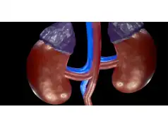 Zdrowe nerki - produkty po jakie warto sięgnąć!