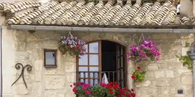 Jakie kwiaty wybrać na balkon? Niewymagające i wytrzymałe rośliny