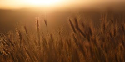 Bez komisji ds. szacowania strat  - nie będzie pomocy Państwa - apeluje Wojewoda 