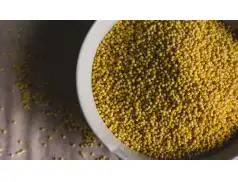 Wegański pasztet z kaszy jaglanej i soczewicy