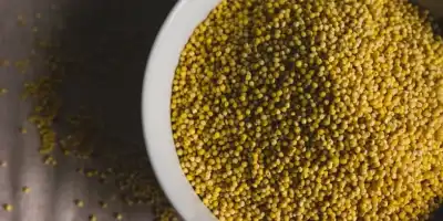 Wegański pasztet z kaszy jaglanej i soczewicy