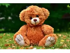 Dzień Pluszowego Misia w Pułtuskiej Bibliotece