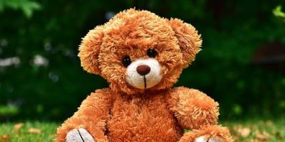 Dzień Pluszowego Misia w Pułtuskiej Bibliotece