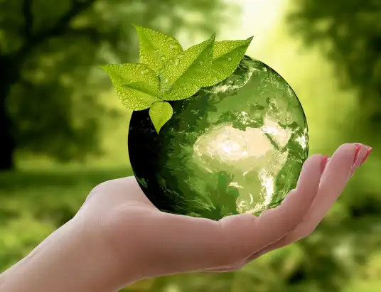Klaudia Kempczyńska z Pułtuskiego Prusa laureatką konkursu o środowisku - Adaptacja do zmian klimatu według mnie