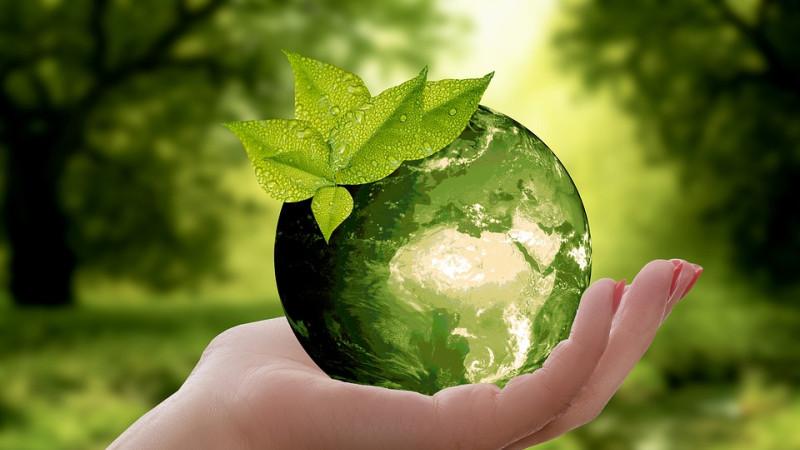 Klaudia Kempczyńska z Pułtuskiego Prusa laureatką konkursu o środowisku - Adaptacja do zmian klimatu według mnie