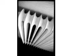 Koszty CO i CW w Spółdzielni.