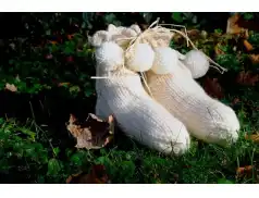 Jak utrzymać biel skarpetek