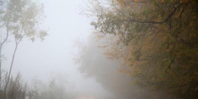 IMGW ostrzega przed gęstą mgłą w powiecie pułtuskim