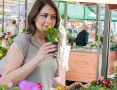 I Pułtuski Festiwal Roślin Ogrodowych – święto natury w sercu miasta!
