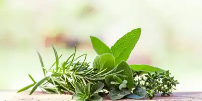 Zioła w cukrzycy. Naturalne wsparcie w walce z chorobą.