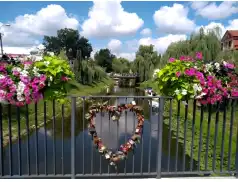 Oddaj głos na Pułtusk - jako najpiękniej ukwiecone miasto w Polsce