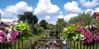 Oddaj głos na Pułtusk - jako najpiękniej ukwiecone miasto w Polsce