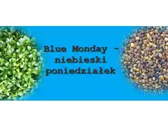 Blue Monday -  co to znaczy ? 
