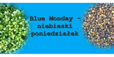 Blue Monday -  co to znaczy ? 