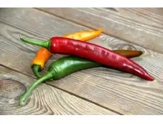 Nagroda Nobla 2021 w dziedzinie medycyny za pionierskie odkrycie receptorów temperatury i dotyku