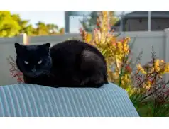 20 najpopularniejszych polskich przesądów