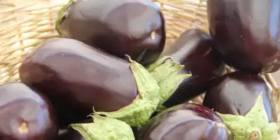 Wrześniowy Festiwal Smaków: Przepis na Ratatouille ze świeżymi warzywami