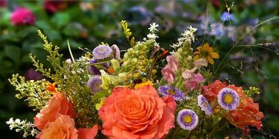 Drodzy Nauczyciele...