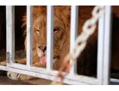 Cyrk Kaskada już w Pułtusku - KONKURS!