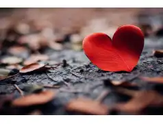 Święto Zakochanych. Śladem miłości Świętego Walentego