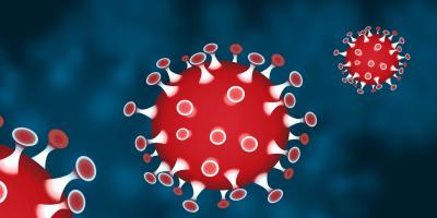 Koronawirus w powiecie pułtuskim [12.01.2021]