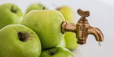 Ocet jabłkowy