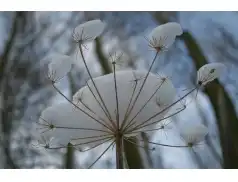 Oj może być bardzo źle!