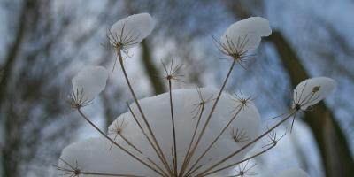 Oj może być bardzo źle!
