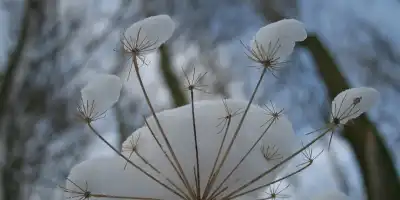 Oj może być bardzo źle!