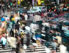 Reklama w serwisie Pultusk.biz