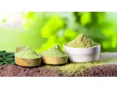 Zielony energetyk. Właściwości młodego jęczmienia dla twojego zdrowia