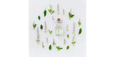 Jak zadbać o swoje oczy przy pomocy ziół?