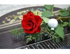 Kolęda - skąd się wzieła?