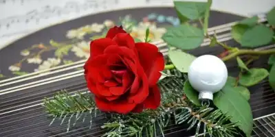 Kolęda - skąd się wzieła?