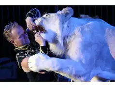 Fabryka Uśmiechu - Konkurs