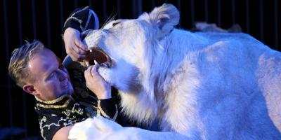 Fabryka Uśmiechu - Konkurs