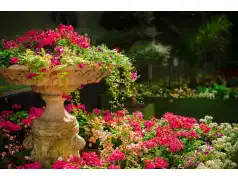 Ogrody Pułtuska 2018 - konkurs dla mieszkańców gminy.