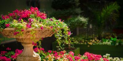 Ogrody Pułtuska 2018 - konkurs dla mieszkańców gminy.