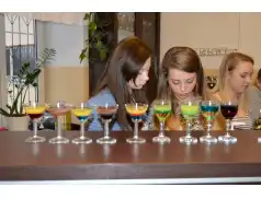 Napoje mieszane-warstwowe – Party Drinks