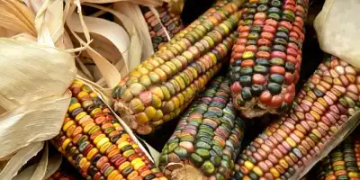 Jesienne potrawy które musisz wypróbować