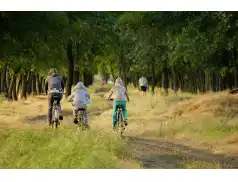 Rowerem na majówkę w pobliżu Pułtuska. Ciekawe trasy rowerowe w powiecie pułtuskim.
