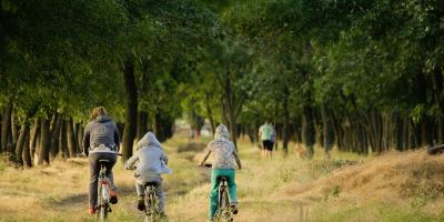 Rowerem na majówkę w pobliżu Pułtuska. Ciekawe trasy rowerowe w powiecie pułtuskim.
