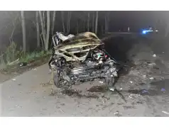 Pułtuska Kronika Strażacka 05 -11.04.2021r. Samochód zderzył się z krową i inne zdarzenia