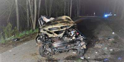 Pułtuska Kronika Strażacka 05 -11.04.2021r. Samochód zderzył się z krową i inne zdarzenia